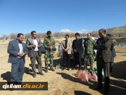 روز درختکاری