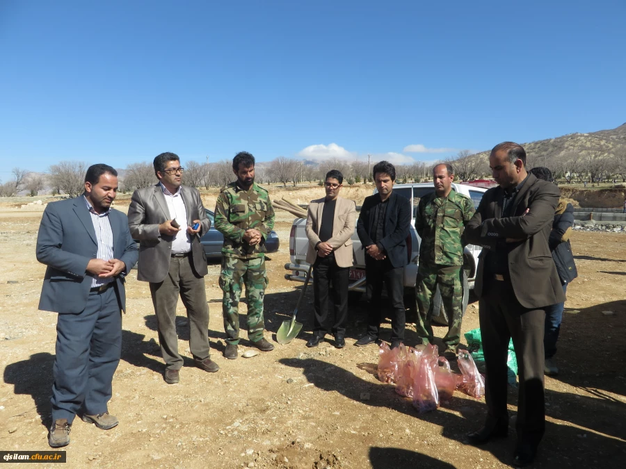 روز درختکاری