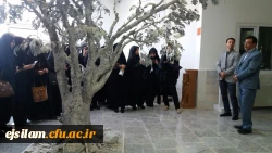 بازدید علمی دانشجویان و اساتید از موزه حیات وحش ایلام