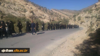 پیاده روی دانشجومعلمان پردیس امام جعفر صادق(ع) به مناسبت هفته تربیت بدنی