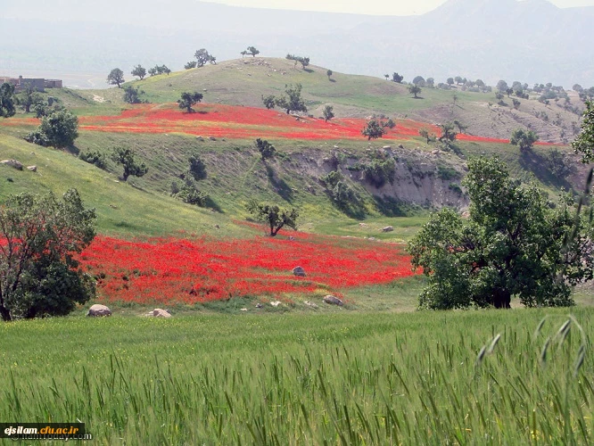تصاویر طبیعت زیبای استان یلام