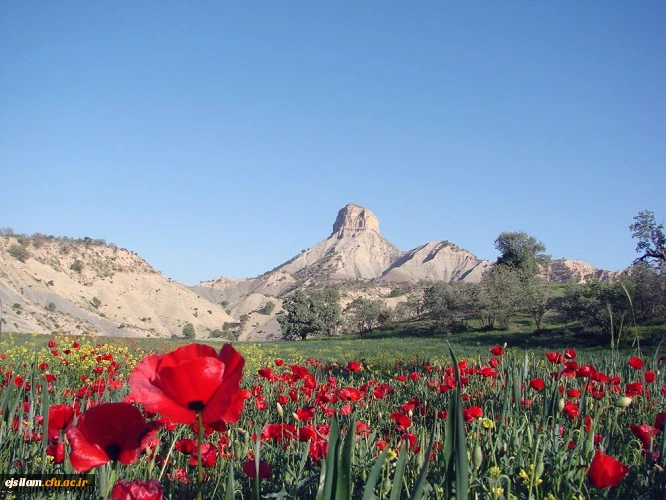 تصاویر طبیعت زیبای استان یلام