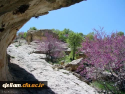 تصاویری از طبیعت زیبای استان ایلام