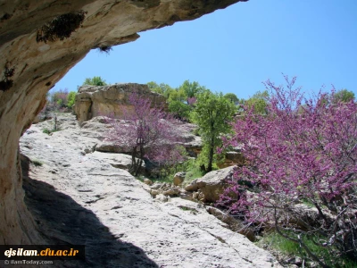 تصاویری از طبیعت زیبای استان ایلام