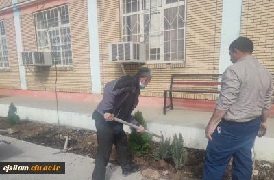 اجرای طرح ایجاد فضای سبز پردیس امام جعفر صادق(ع) به روایت تصویر