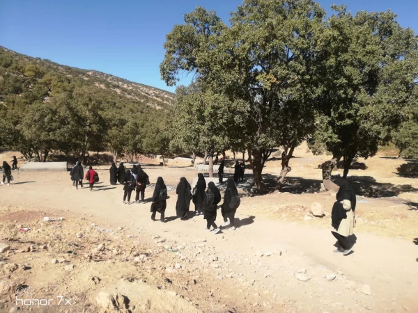 برگزاری همایش راه پیمایی و کوه پیمایی به مناسبت هفته تربیت بدنی 5