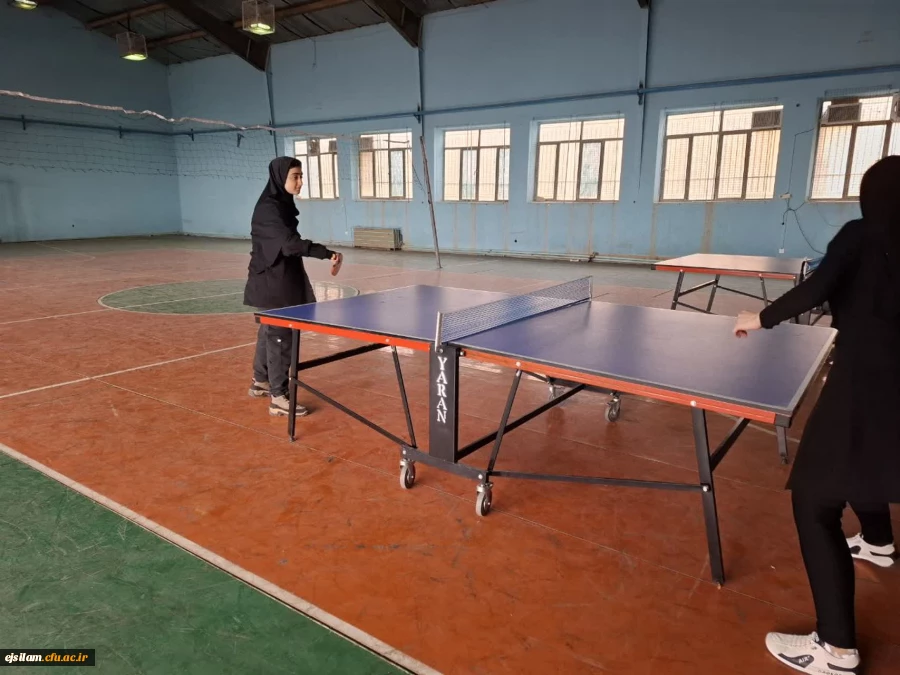 مسابقات تنیس روی میز 6