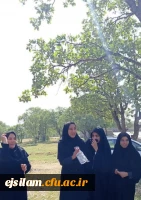 برگزاری مسابقه دارت دانشجو معلمان به مناسبت هفته سلامت در دل طبیعت 4