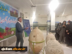 برگزاری بازدید علمی دانشجومعلمان رشته آموزش علوم اجتماعی از موزه باستان شناسی و آثار باستانی شهرستان دره شهر به مناسبت بزرگداشت روز علوم اجتماعی 6